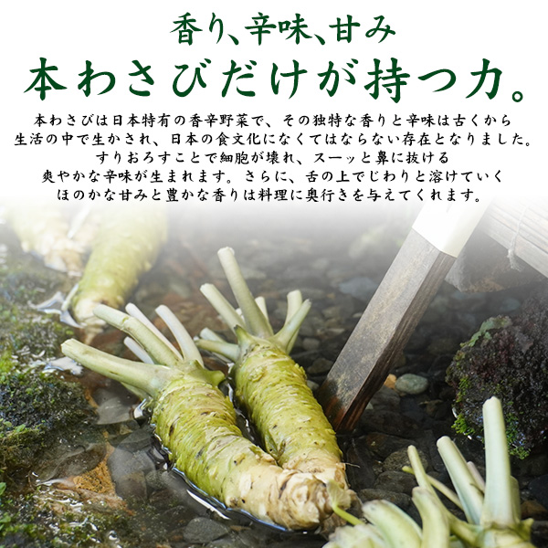 本わさび 静岡産 大サイズ 約100〜120g×3本 山葵 ワサビ 生わさび 本ワサビ 本山葵 静岡県産 日本 国産 薬味 お取り寄せ 料理 ギフト 贈り物 高級 和食 送料無料 クール便 冷蔵便_2
