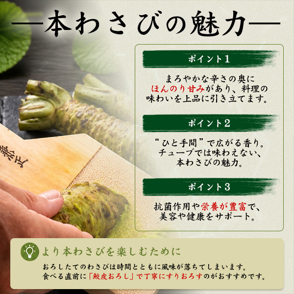 本わさび 静岡産 大サイズ 約100〜120g×3本 山葵 ワサビ 生わさび 本ワサビ 本山葵 静岡県産 日本 国産 薬味 お取り寄せ 料理 ギフト 贈り物 高級 和食 送料無料 クール便 冷蔵便_3