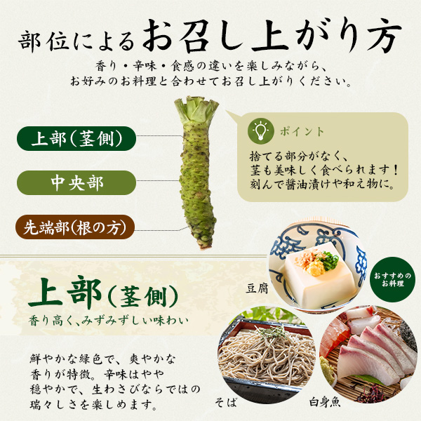 本わさび 静岡産 大サイズ 約100〜120g×3本 山葵 ワサビ 生わさび 本ワサビ 本山葵 静岡県産 日本 国産 薬味 お取り寄せ 料理 ギフト 贈り物 高級 和食 送料無料 クール便 冷蔵便_6