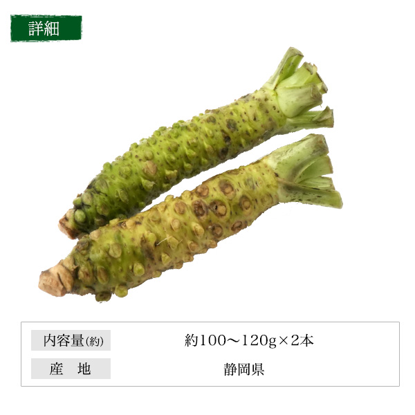 本わさび 静岡産 大サイズ 約100〜120g×2本 山葵 ワサビ 生わさび 本ワサビ 本山葵 静岡県産 日本 国産 薬味 お取り寄せ 料理 ギフト 贈り物 高級 和食 送料無料 クール便 冷蔵便_8