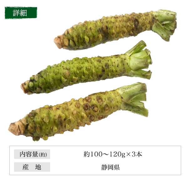 本わさび 静岡産 大サイズ 約100〜120g×3本 山葵 ワサビ 生わさび 本ワサビ 本山葵 静岡県産 日本 国産 薬味 お取り寄せ 料理 ギフト 贈り物 高級 和食 送料無料 クール便 冷蔵便_8
