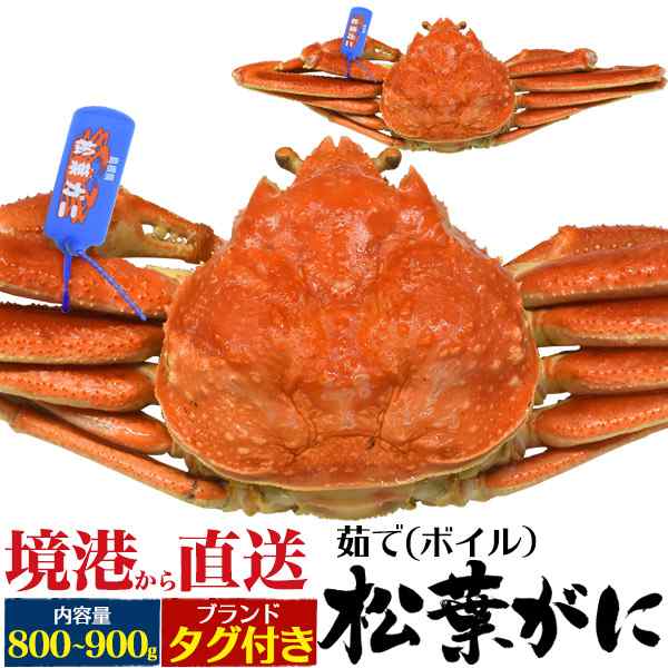 茹で松葉ガニ 800g 900g ブランドタグ付き ボイル カニ 島根県産 境港水揚げ 産地直送 松葉がに 山陰産ブランド 釜ゆで 産地証明 ゆで蟹の通販はau Pay マーケット N Style スマホケース1円 フィルム110円 取扱い中