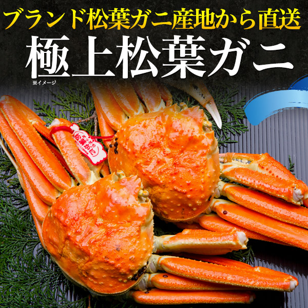 茹で松葉ガニ 800g 900g ブランドタグ付き ボイル カニ 島根県産 境港水揚げ 産地直送 松葉がに 山陰産ブランド 釜ゆで 産地証明 ゆで蟹の通販はau Pay マーケット N Style スマホケース201円 フィルム110円 取扱い中