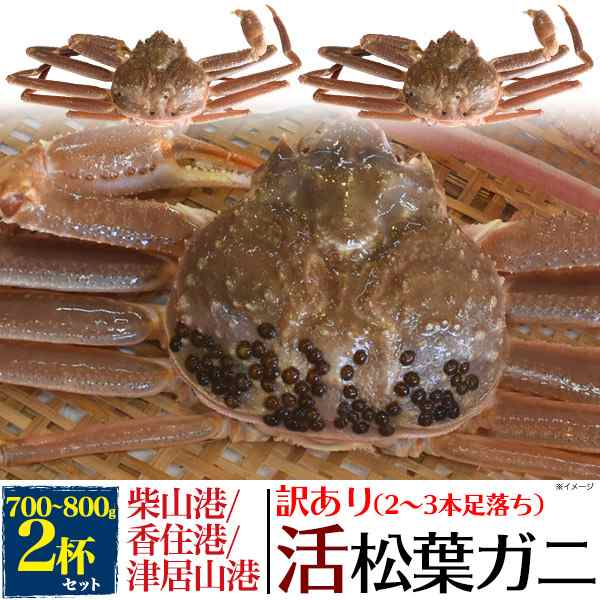 訳あり 足数2 3本不足 活き松葉ガニ 約700gから800g 2杯セット 訳有 カニ 兵庫県産 柴山港 津居山港 香住港 水揚げ 漁港 松葉蟹 活ガニ の通販はau Pay マーケット N Style スマホケース1円 フィルム110円 取扱い中