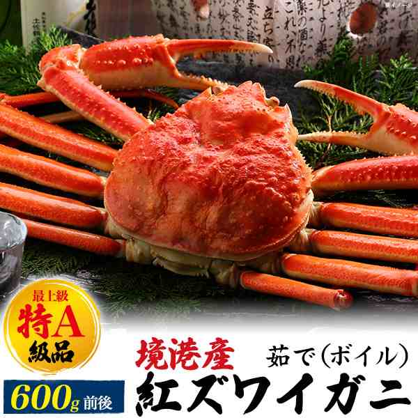 紅ズワイガニ 1杯 約600g前後 最上級 特A 【姿】 カニ 蟹 かに 境港産