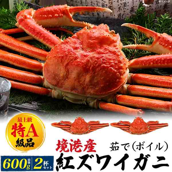 紅ズワイガニ 2杯 約600g前後×2 最上級 特A 【姿】 カニ 蟹 かに 境港産 【茹で】 ボイル 丸ごと 茹でカニ 海鮮 新鮮 冷蔵便 送料無料