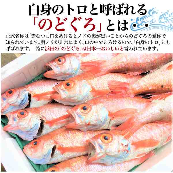 のどぐろ一夜干し 干物 大サイズ 約2g前後 2枚セット 送料無料 産地直送 山陰浜田 贈答用 ギフト アカムツ あかむつ 冷凍配送の通販はau Pay マーケット N Style スマホケース1円 フィルム110円 取扱い中