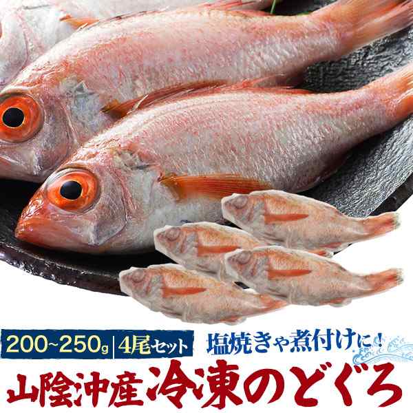 のどぐろ 特大サイズ 4尾セット 山陰沖産 冷凍 送料無料 丸ごと ノドクロ 塩焼き 煮付け 炊き込みご飯に アカムツ ウロコ エラ処理済み の通販はau Pay マーケット Wil Mart