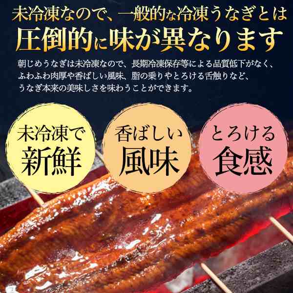 の通販はau　愛知県　新鮮！国産うなぎ　超特大　蒲焼き　PAY　朝じめ　未冷凍　au　マーケット－通販サイト　200グラム〜250グラム　200g〜250g　au　(素焼き)　×　大きい　2尾　2匹　白焼き　マーケット店　鰻　ウナギ　マーケット　N-style　PAY　PAY