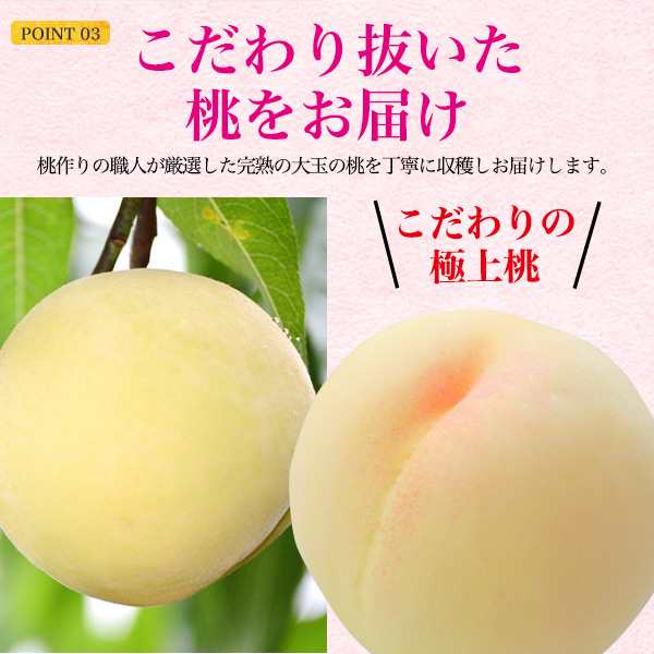 ③ 【送料無料】大好評⭐️あら川の桃  2.0キロ前後 家庭用桃