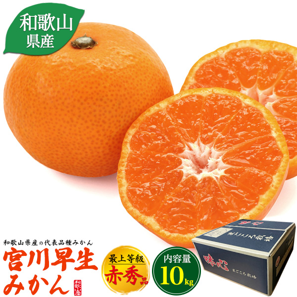 みかん【12月上旬〜出荷】和歌山県産 宮川早生みかん 10kg 100個〜115