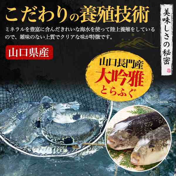 とらふぐ 刺身 鍋セット 3〜4人前 山口県産 ふぐ鍋 ふぐ刺し てっさ ふぐちり 国産 とらふぐ鍋 お取り寄せ グルメ 海鮮鍋 送料無料 冷凍  ｜au PAY マーケット