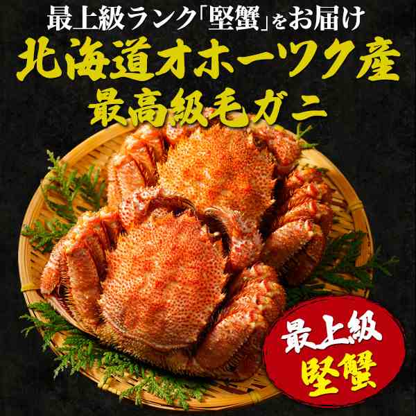 毛ガニ 姿 2杯（約500〜550g×2）北海道 オホーツク産 最高級 堅蟹 1〜1.1kg 誕生日 記念日 お祝い 内祝 ハレの日 グルメ ボイル済み 塩ゆで 毛がに カニ 2匹 殻付き 丸ごと 蟹 かに 茹で 贈り物 海鮮 ギフト 贈答 冷凍配送 海の幸 まるごと 殻つき 殻ごと 縁起物_1