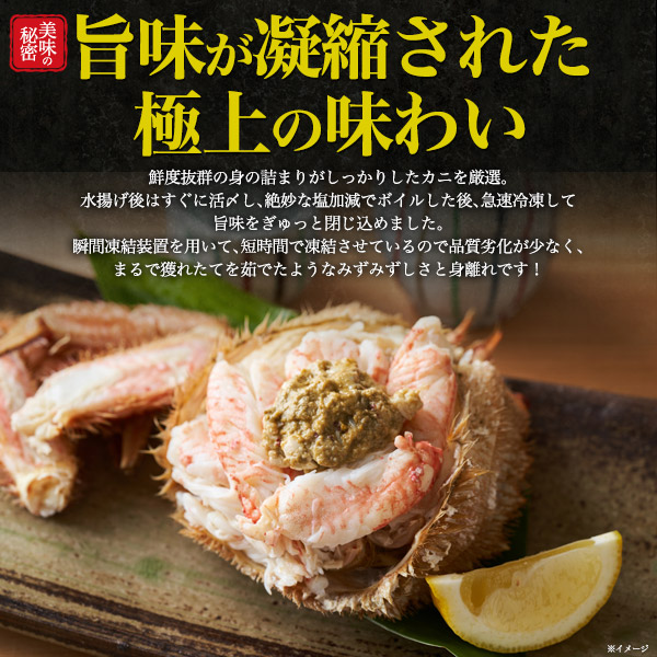 毛ガニ 姿 2杯（約500〜550g×2）北海道 オホーツク産 最高級 堅蟹 1〜1.1kg 誕生日 記念日 お祝い 内祝 ハレの日 グルメ ボイル済み 塩ゆで 毛がに カニ 2匹 殻付き 丸ごと 蟹 かに 茹で 贈り物 海鮮 ギフト 贈答 冷凍配送 海の幸 まるごと 殻つき 殻ごと 縁起物_4