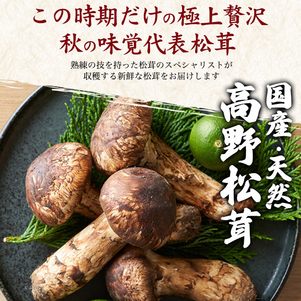 天然国産 冷凍 松茸 180g 高野松茸 秋の味覚 高級食材 国産松茸 土瓶蒸し 天ぷら 松茸ごはん 和歌山県産 マツタケ 冷蔵便 希少 天然松茸 旬 食材 きのこ 季節のお野菜 お取り寄せ グルメ ご褒美 グルメ 食品 高級 きのこ まつたけ まったけ 冷凍便 クール便_1
