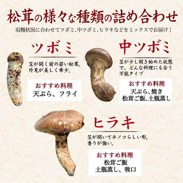 天然国産 冷凍 松茸 180g 高野松茸 秋の味覚 高級食材 国産松茸 土瓶蒸し 天ぷら 松茸ごはん 和歌山県産 マツタケ 冷蔵便 希少 天然松茸 旬 食材 きのこ 季節のお野菜 お取り寄せ グルメ ご褒美 グルメ 食品 高級 きのこ まつたけ まったけ 冷凍便 クール便_3