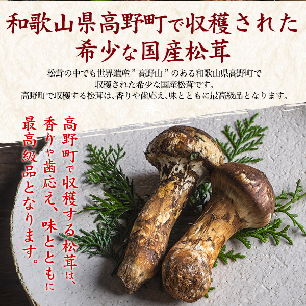 天然国産 松茸 約180g 冷凍 高野松茸 まつたけ マツタケ 希少 高野まつたけ 日本産 最高級品 高級食材 和歌山県 きのこ キノコ 茸 天然物 松茸ご飯 土瓶蒸し すき焼き 贈答用 日本産 和歌山産 ギフト 贈り物 送料無料 クール 冷凍配送_2