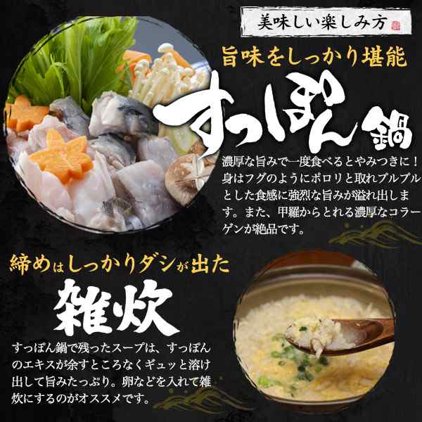 すっぽん鍋セット 700g 国産 すっぽん 鹿児島産 栄養満点 スッポン鍋 3～4人前 鍋セット お取り寄せ グルメ 新鮮 送料無料 冷蔵  クール便の通販はau PAY マーケット - WIL-MART