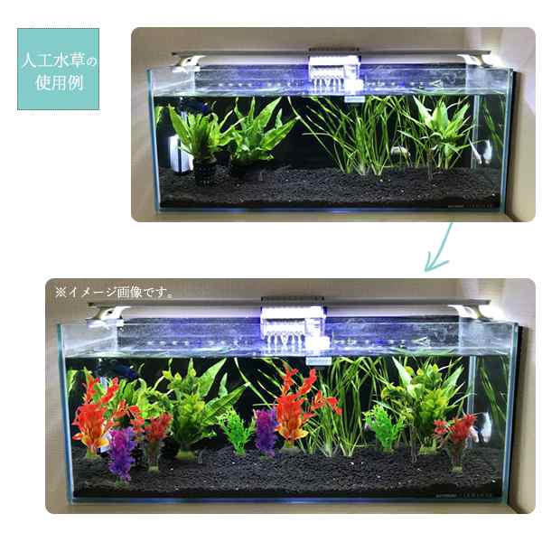 人工水草 1袋2個入り Lサイズ 180 0mm 水草 人工植物 水中植物 アクアリウム プラスチック植物 水槽 水槽用具 プラント オーナメント の通販はau Pay マーケット Wil Mart