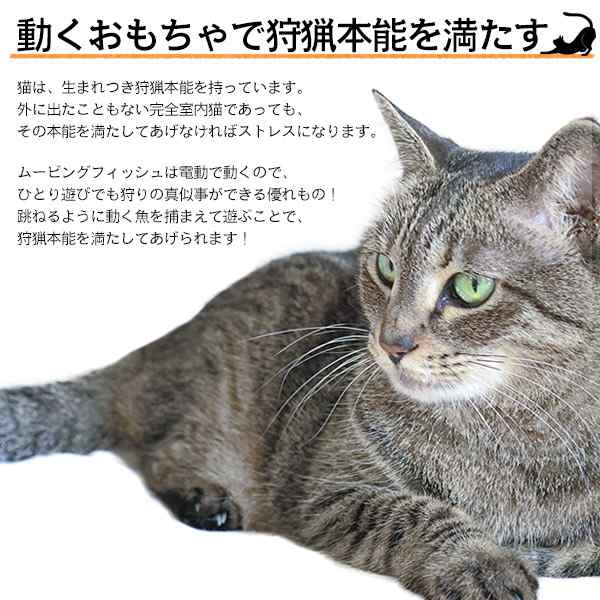 猫おもちゃ 電動 ムービングフィッシュ 3種セット 振動感知 充電式 動く魚 さかな ぬいぐるみ 猫 おもちゃ 運動不足 ストレス 解消 発散 の通販はau Pay マーケット Wil Mart スマホグッズやペット商品など新商品入荷中