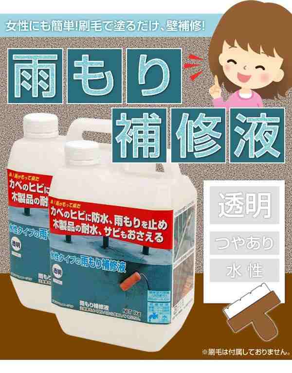 雨漏り 雨もり 修理 日本ミラコン産業 雨もり補修液 1kg 2本セット MR-003の通販はau PAY マーケット - プロフィット