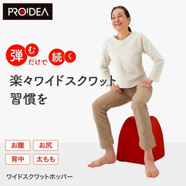 送料無料 ストレッチクッション 室内運動 トレーニング ワイドスクワットホッパー スクワット エクササイズ お尻 裏もも 内もも パリ式 KANAMIメソッド 下半身 筋肉 筋トレ 足 足腰 トレーニング 運動 ストレッチ 楽しめる 運動 クッション