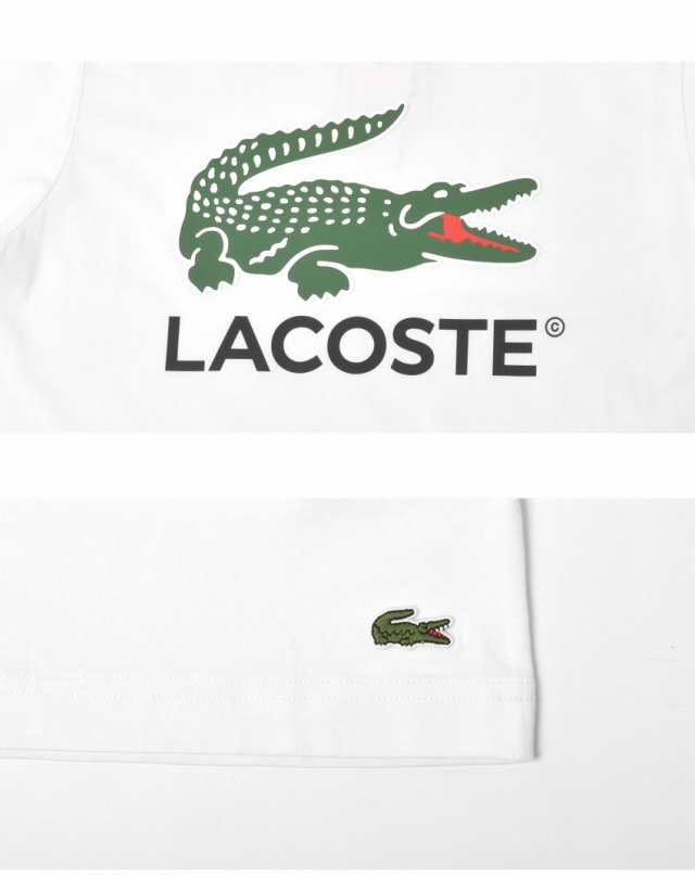 ラコステ 半袖Tシャツ メンズ COTTON JERSEY SIGN PRINT ホワイト 白 LACOSTE TH1285 ウェア トップス 半袖 Tシャツ プリント クルーネック ブランド カジュアル シンプル ワニ ロゴ カットソー 人気 おしゃれ お洒落 コットンの通販は