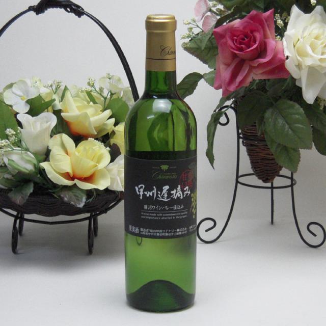 12本セット 勝沼ワインバレー仕込み 甲州遅摘み完熟甘口 白ワイン 720ml×12本(山梨県)の通販は