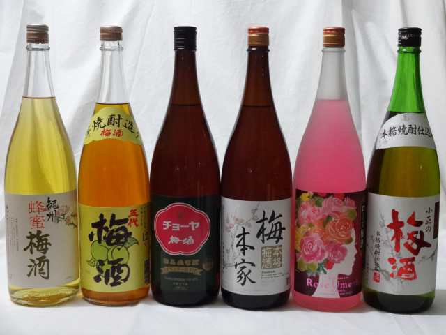 こんな梅酒福袋が欲しかったぁ　飲み比べ6本セット （中野BC 蜂蜜梅酒 五代梅酒 中埜酒造 おばあちゃんの梅酒 中埜酒造 ローズ梅酒 小