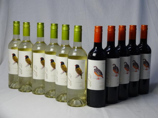 チリ白赤ワイン11本セット デル・スール カルメネール ミディアムボディ5本 デルスール ソーヴィニヨン ブラン 辛口6本 750ml×11本 の通販は 10,780円