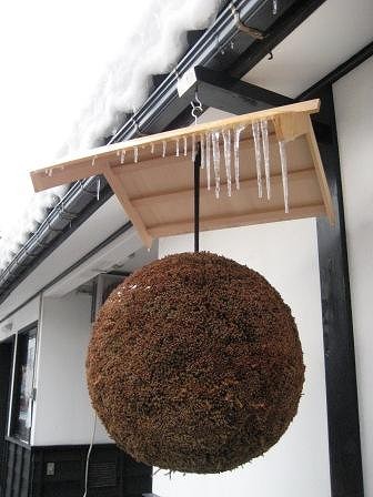 三重県スペシャルセレクション　三重県清水清三郎商店　純米　純米吟醸　大吟醸　早川酒造場 天慶 吟醸　純米吟醸　大吟醸　720ml×6の通販は