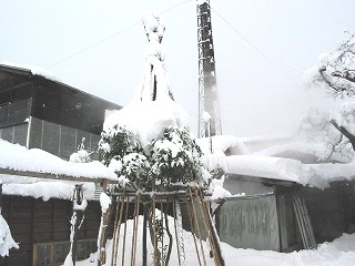 三重県スペシャルセレクション　三重県清水清三郎商店　純米　純米吟醸　大吟醸　早川酒造場 天慶 吟醸　純米吟醸　大吟醸　720ml×6の通販は