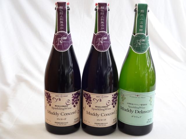 ワインセット スパークリングワイン3本セット マディデラウェア(デラウェア)×1本　マディルージュ(ルージュ)×2本 (山梨の通販は 6,980円