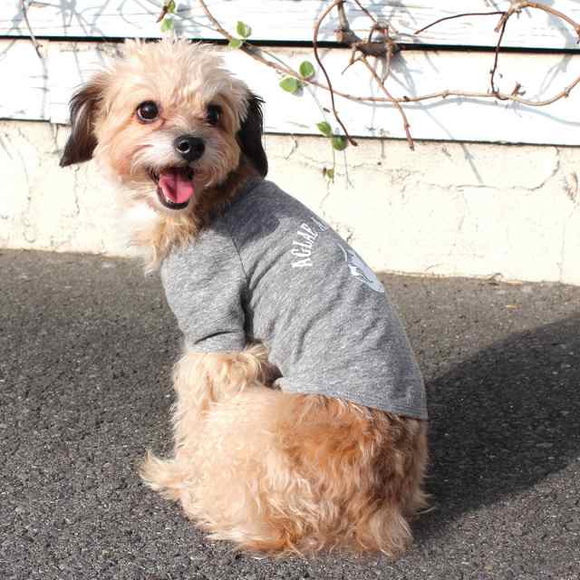 Aglae のドッグtシャツ ロゴマーク ラグランタイプ 犬服 イヌ ワンちゃんグッズ チワワ プードルサイズ 小型犬サイズの通販はau Pay マーケット Soubien ポイントupフェスクーポン利用可