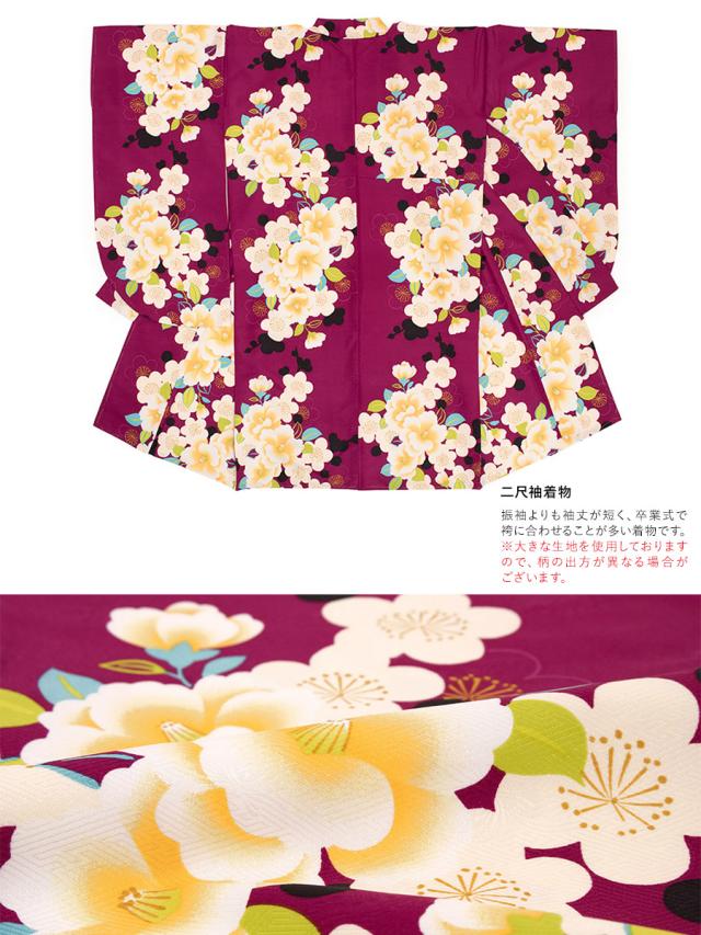 お気にいる 袴セット レディース 卒業式 小学生 大学生 Bonheur Saisons ボヌールセゾン 赤紫色 パープル 黒 深緑色 縞 梅 菊 椿 桜 花丸 菊紗綾 再入荷1番人気 Theblindtigerslidell Com