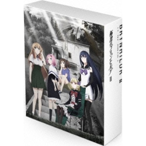 DVD/TVアニメ/極黒のブリュンヒルデ DVD-BOX II