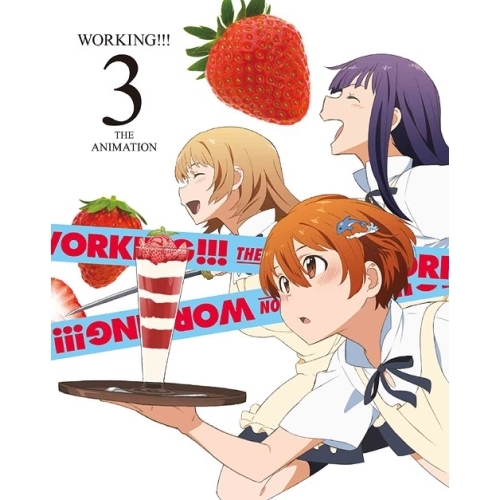 DVD/TVアニメ/WORKING!!! 3 5,289円