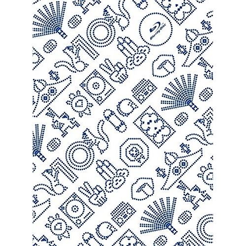 BD/RIP SLYME/RIP SLYME Tour of Ten FINAL at BUDOKAN(Blu-ray)