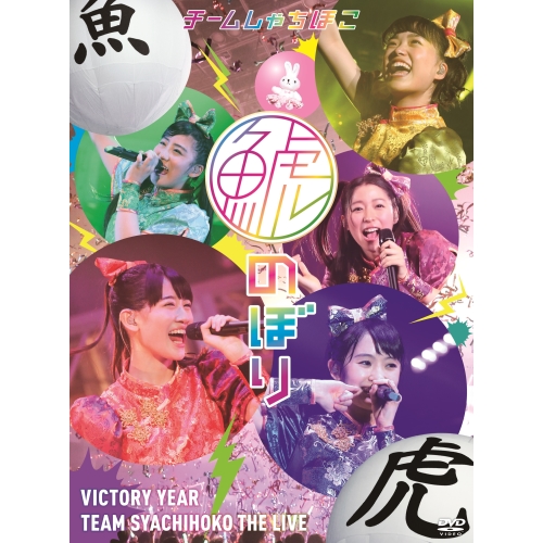 DVD/チームしゃちほこ/鯱のぼり at 幕張メッセイベントホール (完全初回生産限定版)