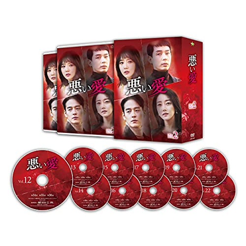 【取寄商品】DVD/海外TVドラマ/悪い愛 DVD-BOX2