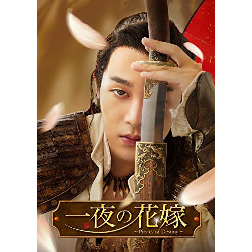 一夜の花嫁~Pirates of Destiny~ DVD 一夜の花嫁~Pirates of Destiny~ DVD