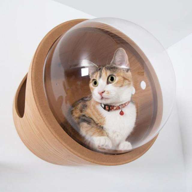 キャットウォーク 木製 壁掛け 猫ハウス 猫用 猫家具 ベッド キャット