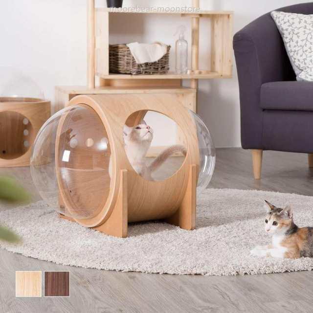 キャットウォーク 木製 壁 猫ハウス 猫用 猫家具 ベッド キャットハウス［〈 マイズー〉宇宙船アルファ ネコハウス］