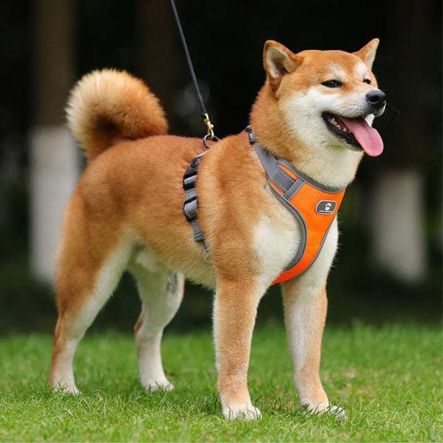 犬 ハーネス リード 中型犬 大型犬 小型犬 柴犬 ステップハーネス