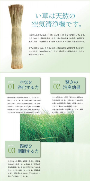純国産 い草花ござカーペット ラグ 『アシック』 グリーン 江戸間4.5畳(約261×261cm) 4111004 |b03_4