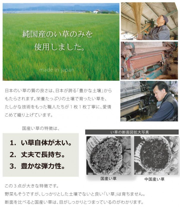 純国産 い草ラグカーペット 『Fブロック』 ブラウン 約191×250cm 8220780 |b03_6