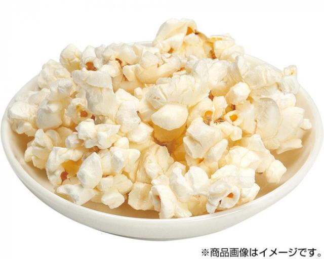 トップオブザポップ ポップコーン ソルト 100g 90セット |b03_1