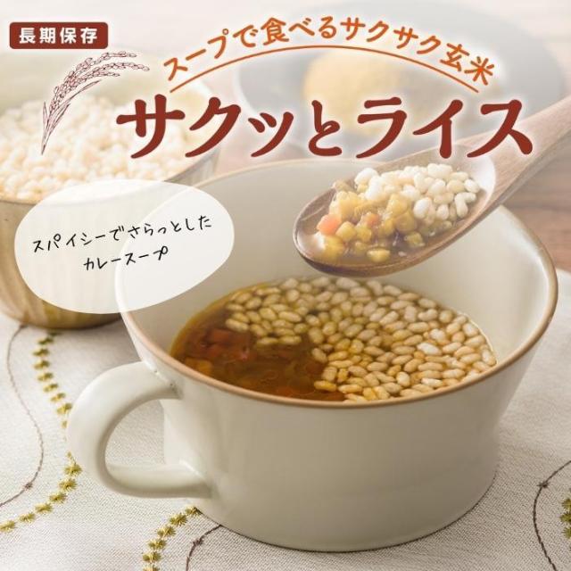 アルファー食品 サクッとライス 野菜カレースープ 190g ×40袋セット