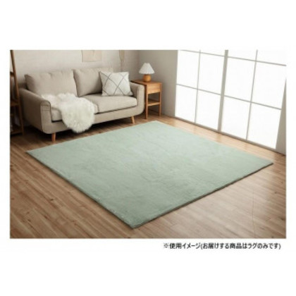ラピアス ラグ 200×200cm PGN 3987959 |b03