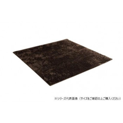 ラグ 制菌加工 約3畳 約200×250cm ホットカーペット対応 ブラウン 3985119 |b03